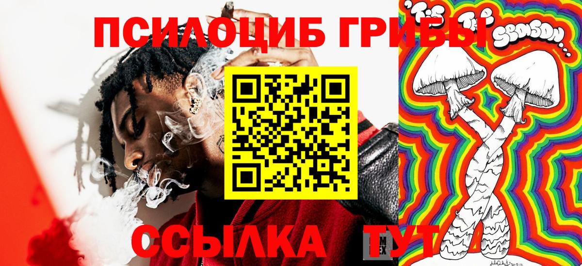 Галлюциногенные грибы прущие грибы Калининград