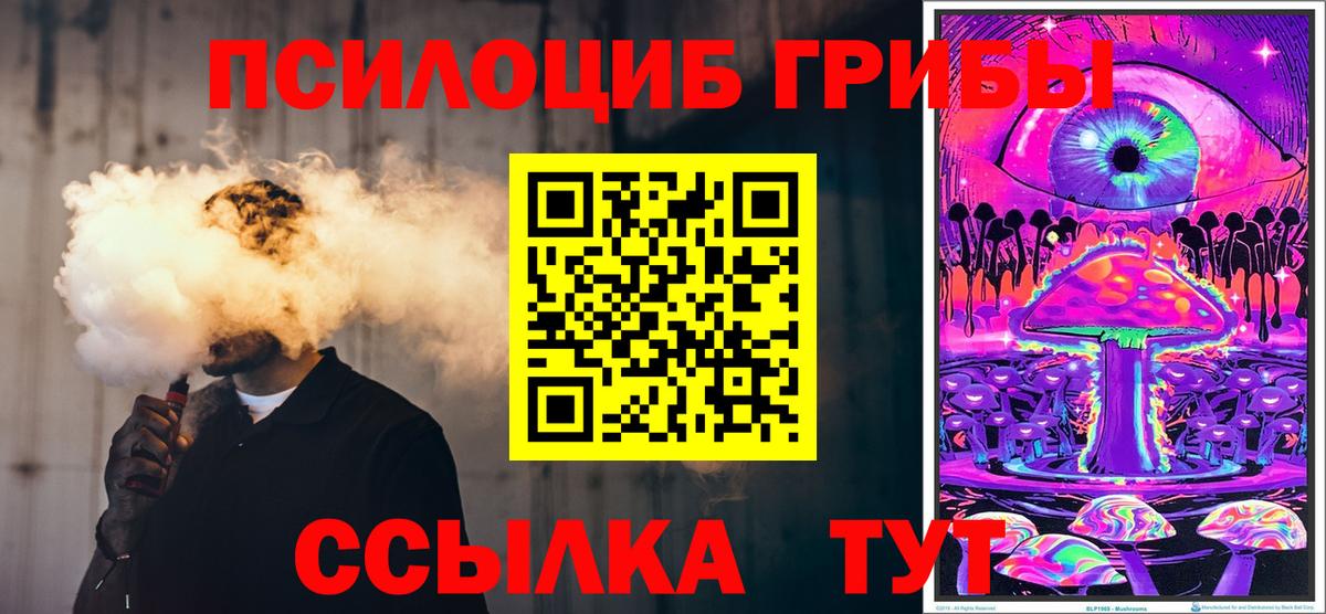Калининград  Галлюциногенные грибы прущие грибы  Галлюциногенные грибы Cubensis  Вход с VPN 